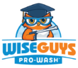 WiseGuys Pro Wash logo