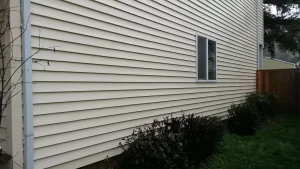 Siding Pressure Washing